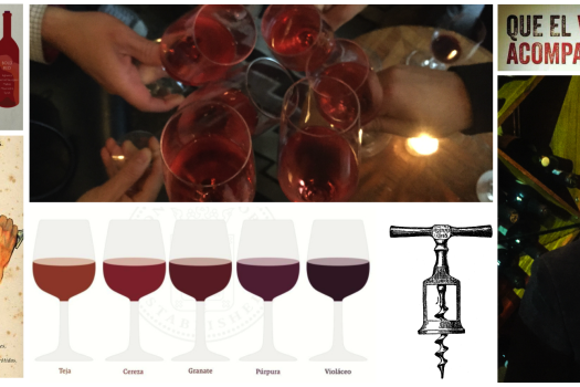 Básicos del vino – Parte 1